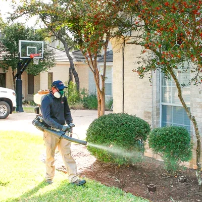 spraying for mosquitoes around home